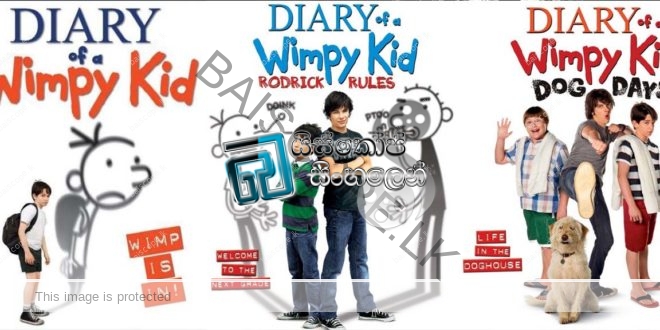 2011 Diary Of A Wimpy Kid: Rodrick Rules