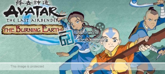 Avatar The Last Airbender  (16)