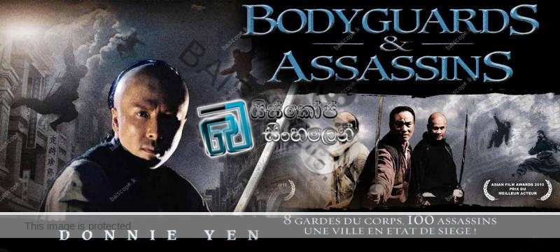 Bodyguards And Assassins