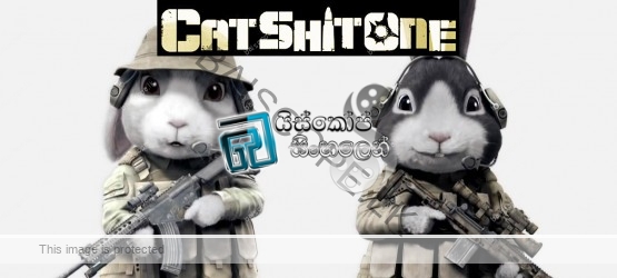Cat Shit One (2010)