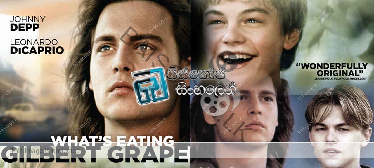 What’s Eating Gilbert Grape (1993)