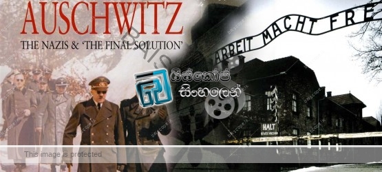 Auschwitz The Nazis and the Final Solution1