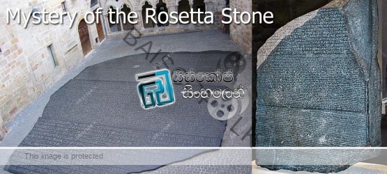 Mystery.of.the.Rosetta