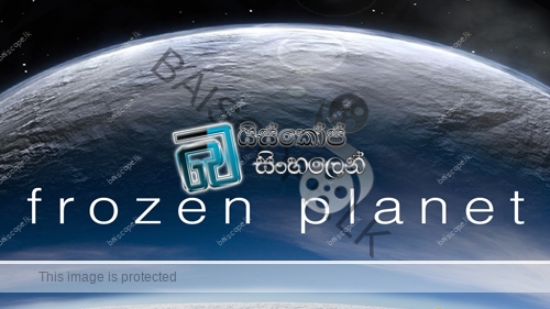 Frozen Planet Banner