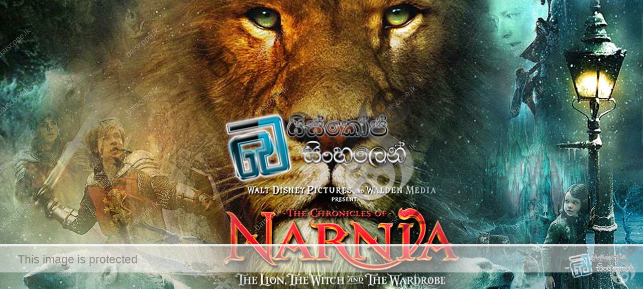 The Chronicles of Narnia The Lion the Witch and the Wardrobe (2005)
