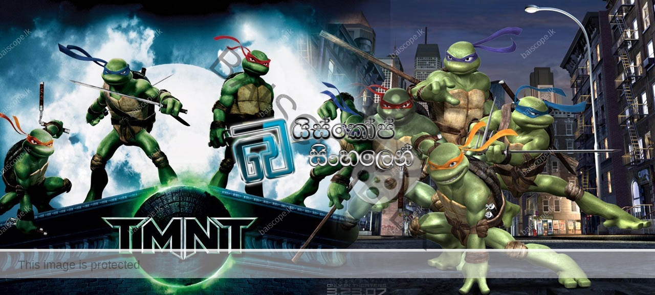 teenage mutant ninja turtles 2007