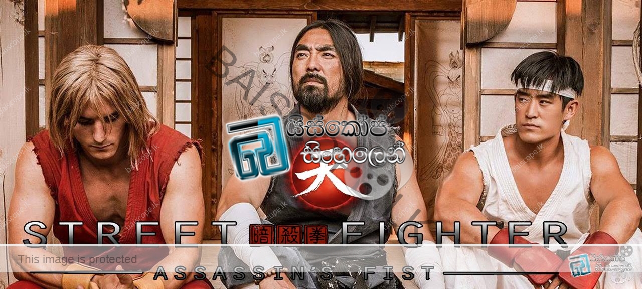 Street Fighter Assassin's Fist (2014)