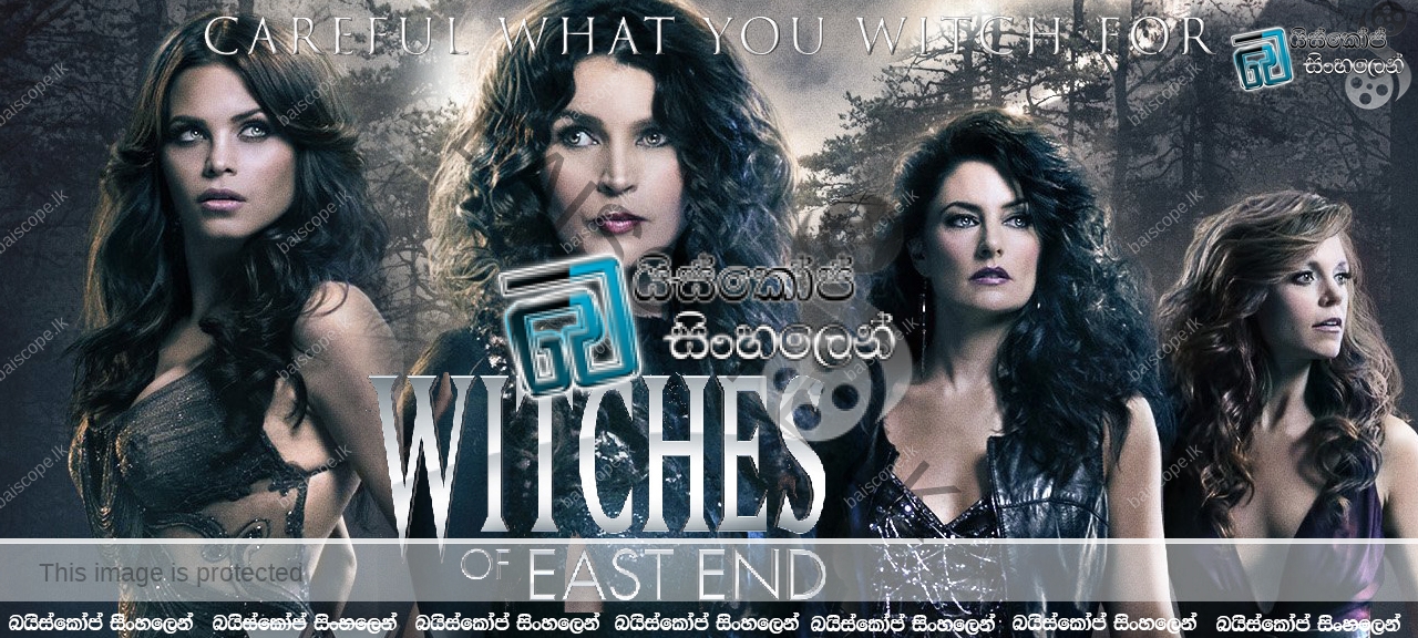 Witches of East End TV 2