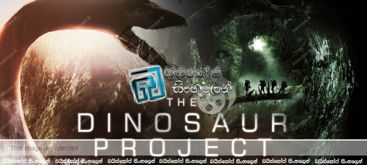 Dinosaur Project 2012