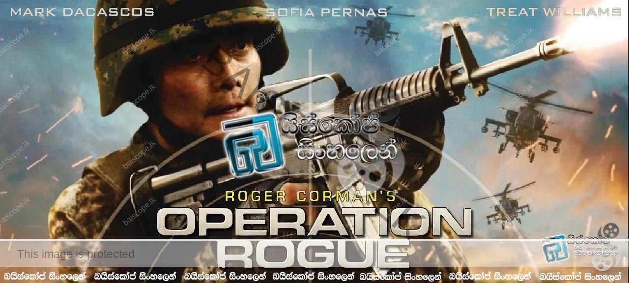 Operation rogue (2014)