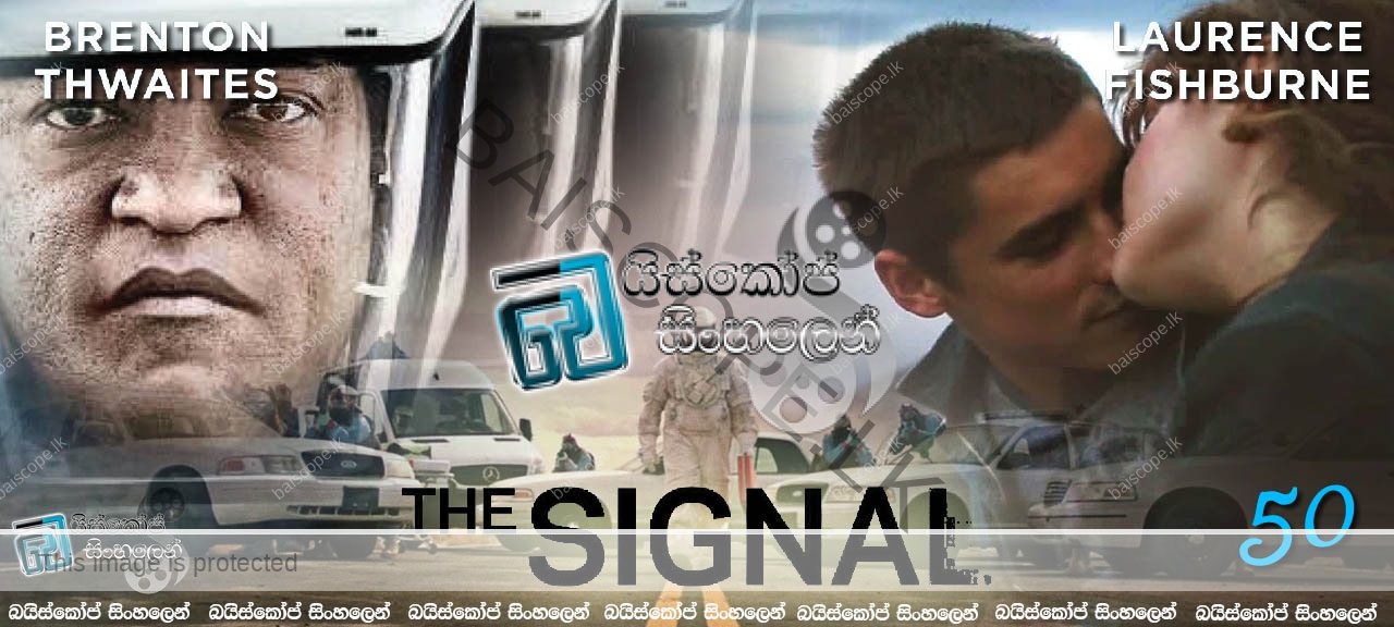 The Signal 2014