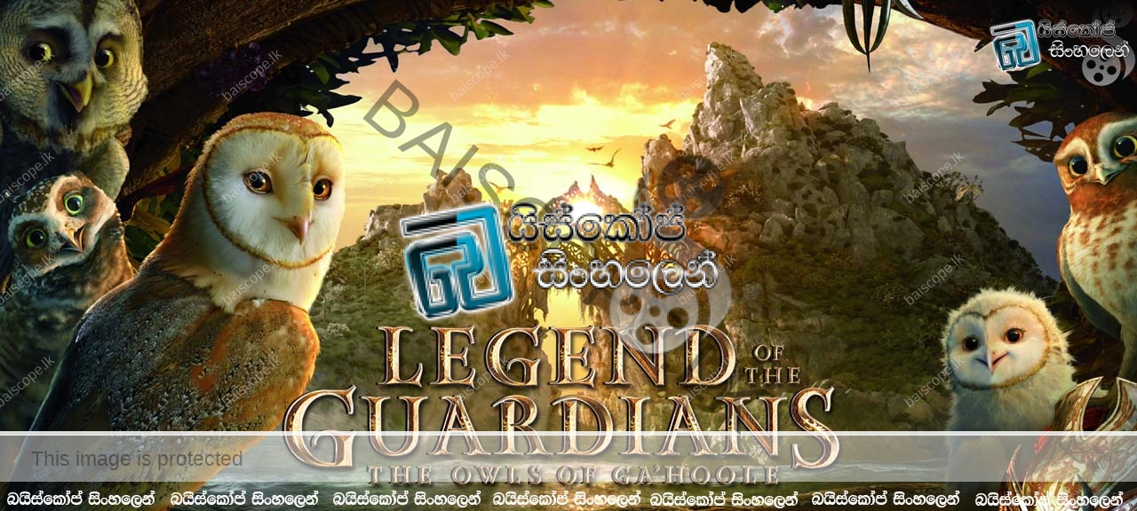 Legend of the guardians (2010)