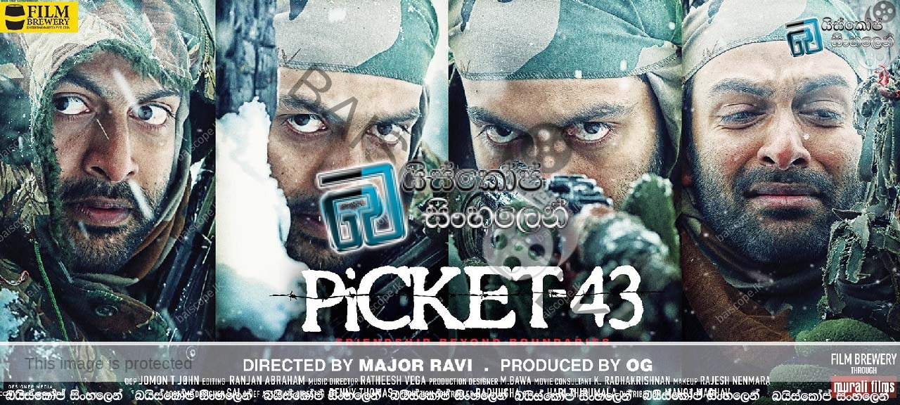 Picket 43 (2015)