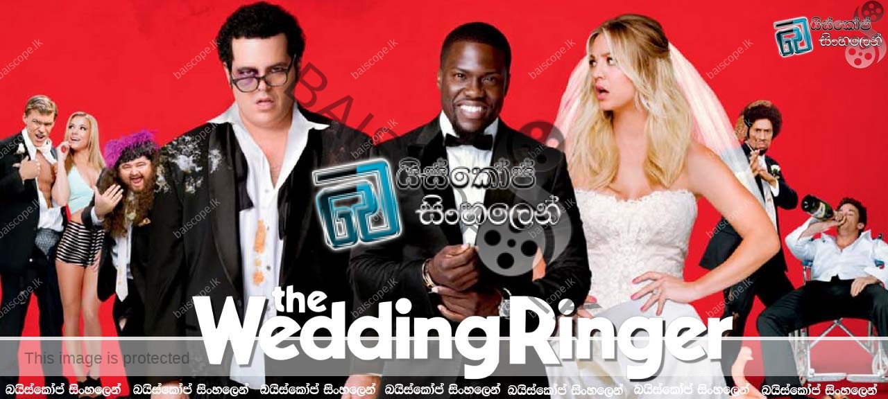 The wedding ringer 2015