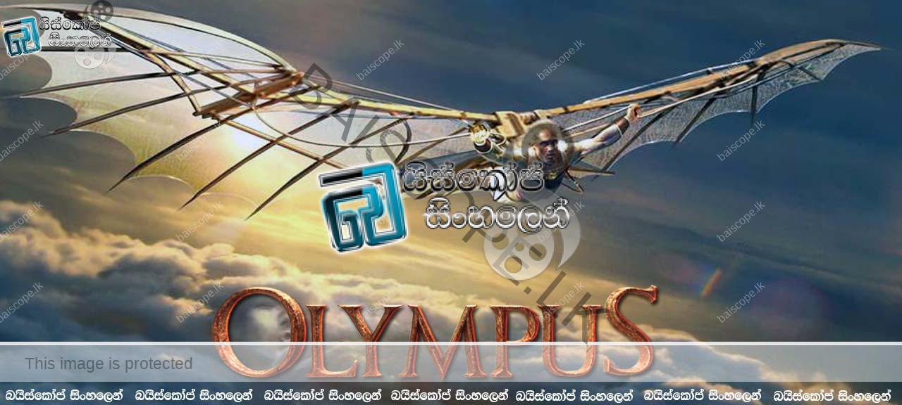 Olympus TV3