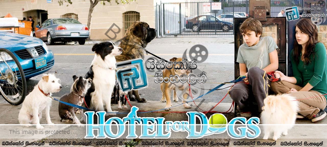 Hotel for Dogs (2009)1