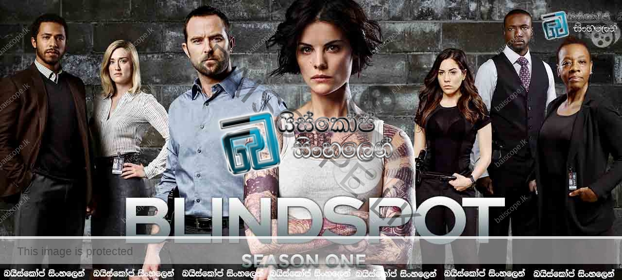 Blindspot (2015) TV-5 New