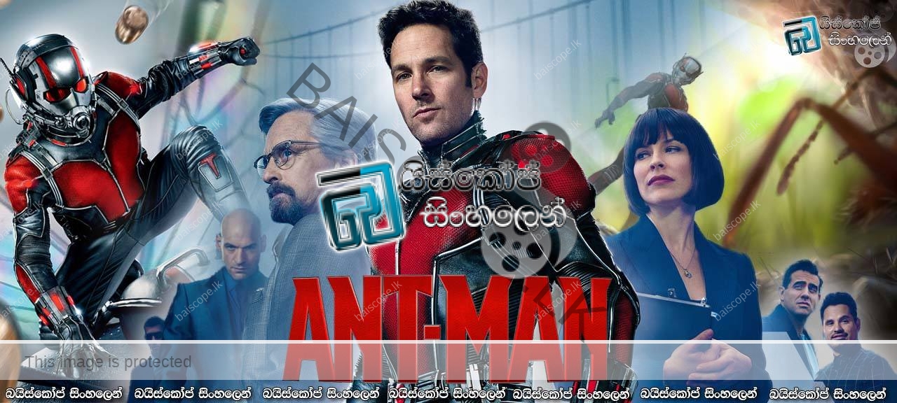 Ant Man (2015)