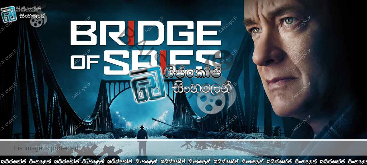 Bridge-of-Spies-(2015)