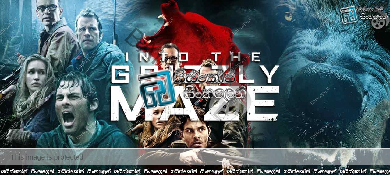 Into-the-Grizzly-Maze-(2015)