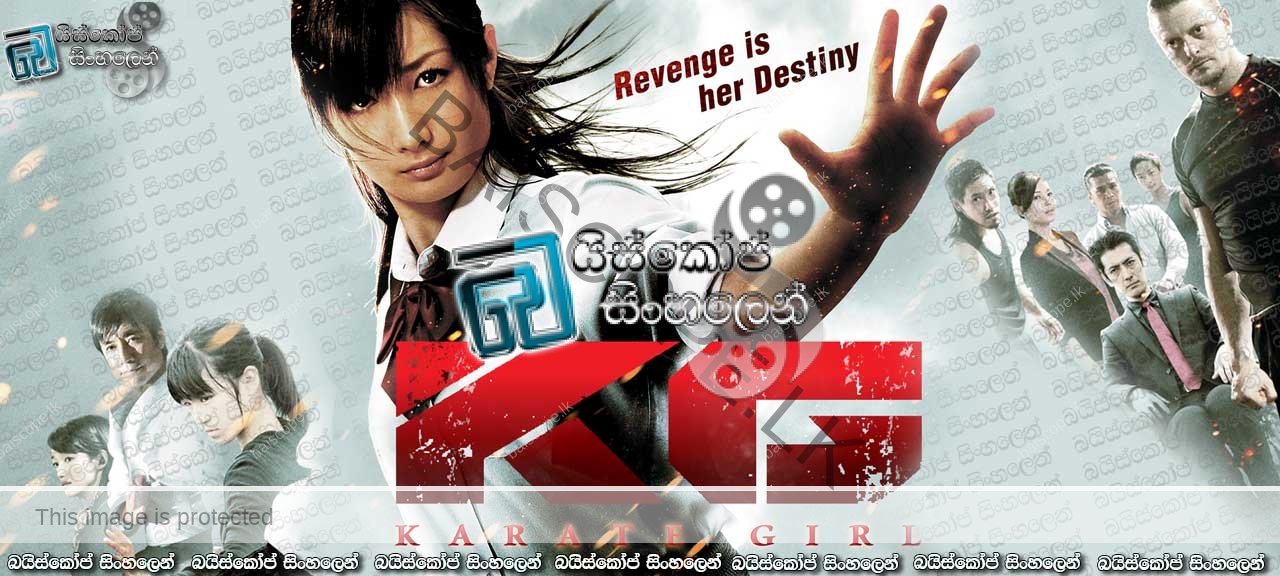 Karate Girl (2011)