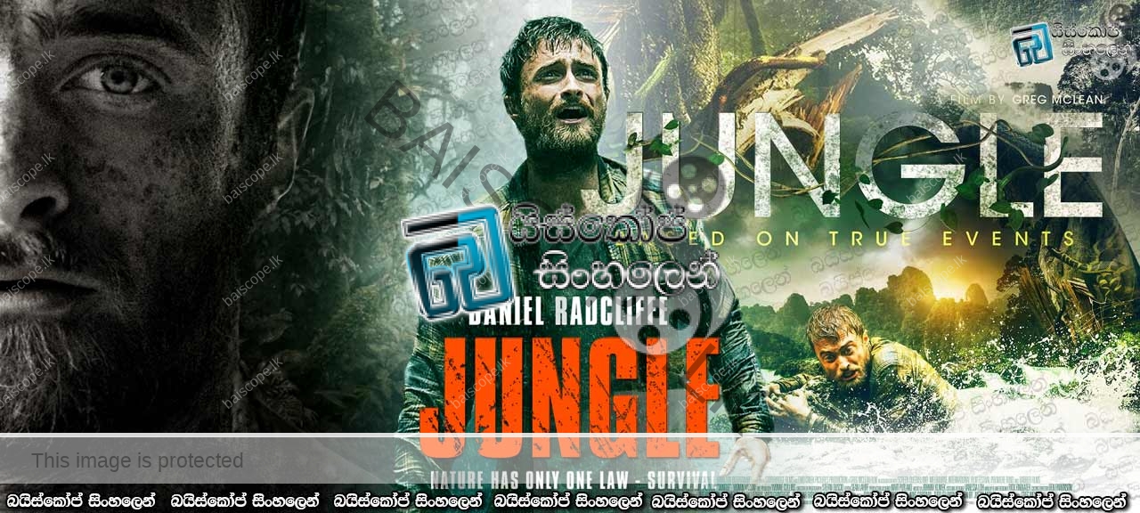 2017 Jungle