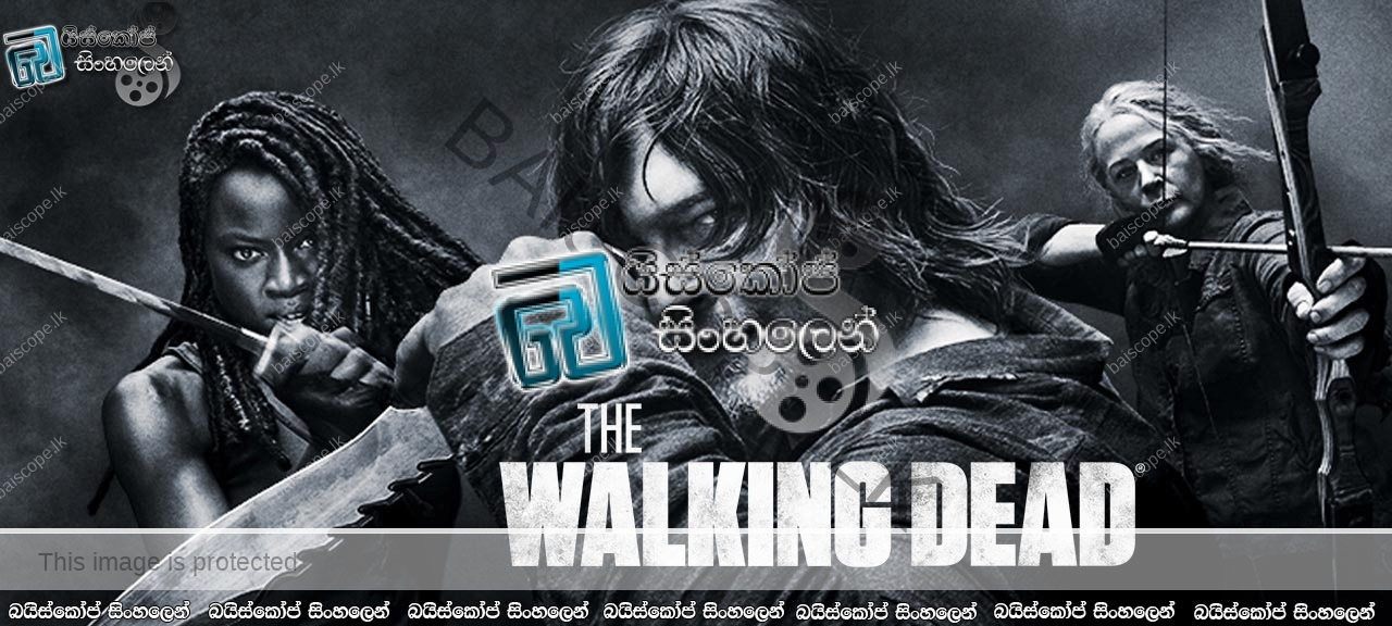 afhængige Badekar specielt The Walking Dead [S10 : E04] Sinhala Subtitles | නිහඬ ප්‍රහාර..! [සිංහල  උපසිරසි සමඟ] – බයිස්කෝප් සිංහලෙන් – සිංහල උපසිරසි වෙබ් අඩවිය – Sinhala  Subtitles