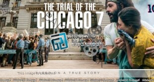 The Trial of the Chicago 7 (2020) Sinhala Subtitles | ඇමෙරිකානු රජය අපකීර්තිමත් කළ නඩු විභාගය [සිංහල උපසිරසි] (18+) 100*