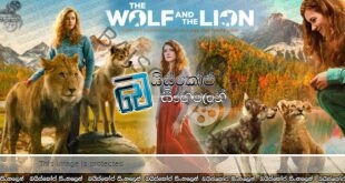 The Wolf and the Lion (2021) AKA Le loup et le lion Sinhala Subtitles | සතෙක් උනත් රැඳෙන්නේ සැබෑ ආදරය ගාව.  [සිංහල උපසිරැසි]