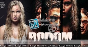 Lake Bodom (2016) AKA Bodom Sinhala Subtitles | බොඩම් විල් තීරයේ අභිරහස් ඝාතන [සිංහල උපසිරසි]