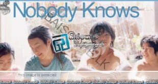 Nobody Knows (2004) Sinhala Subtitles | අම්මාවරු නැති දරුවන්නේ…! [සිංහල උපසිරසි]