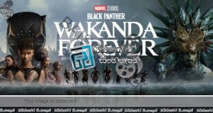 Black Panther: Wakanda Forever (2022) Sinhala Subtitle | සදා නොමැකෙන වකන්ඩාව! [සිංහල උපසිරැසි] 50*