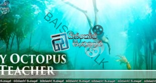 My Octopus Teacher (2020) Sinhala Subtitles | ජීවිතය කියාදුන් ගුරුවරිය.. [සිංහල උපසිරැසි සමඟ]