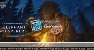 The Elephant Whisperers (2022) Sinhala Subtitles | අලි හිත්, දත් ඇත්තා… [සිංහල උපසිරසි]