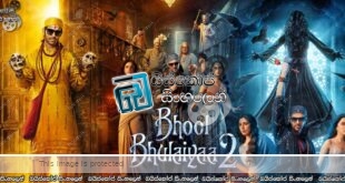 Bhool Bhulaiyaa 2 (2022) Sinhala Subtitles | වංකගිරි වලව්වේ අලුත් පලහිලව්ව! [සිංහල උපසිරසි]